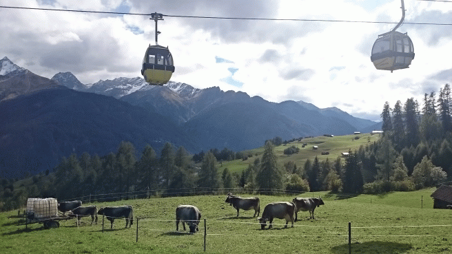 Cows. Ski lifts. Bells.